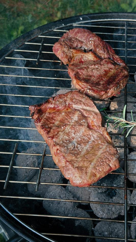 Charcoal-grilled ribeye sandwich in the garden
