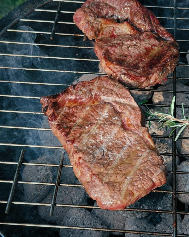 Charcoal-grilled ribeye sandwich in the garden